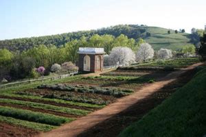 Thomas Jefferson's Legacy in Gardening and Food | Thomas Jefferson's Monticello