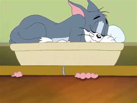 Image - Xtreme Trouble - Tom sleeping.png | Tom and Jerry Wiki | FANDOM powered by Wikia