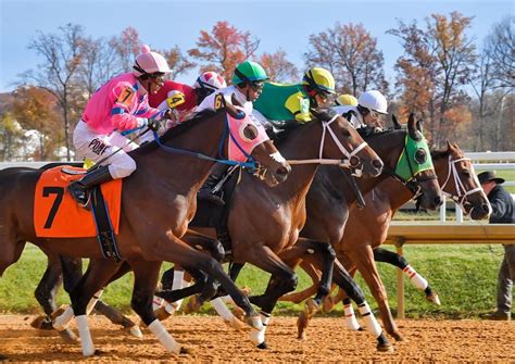 Feedback Sought for Laurel Park Track Surfaces From Horsemen - Past The Wire