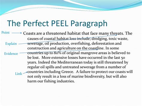 PPT - Paragraph Building with PEEL PowerPoint Presentation, free ...