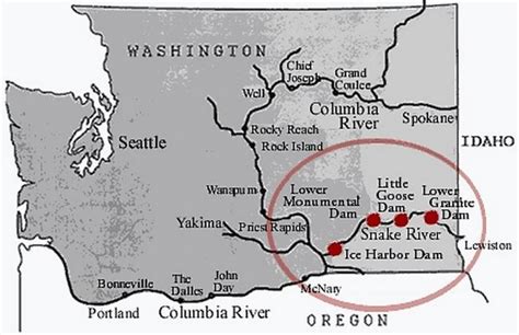 WA Rep. Newhouse fights to withhold congressional support for breaching 4 Snake dams