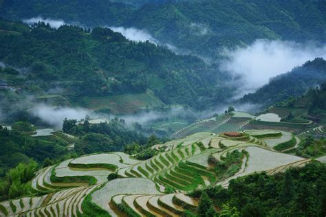 GuiLin LongSheng Rice Terraces Tour - China ChengDu Tours, Chengdu Panda Volunteer Program