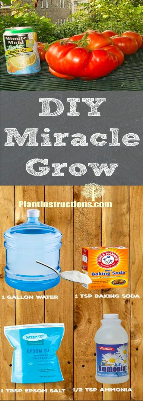 DIY MIRACLE GROW - Healthy Living Fly | Miracle grow, Miracle grow diy, Homemade plant food