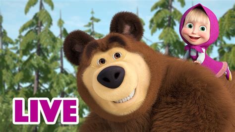 🔴 LIVE STREAM 🎬 Masha and the Bear 🐯🐼 All of Us 🐻🦔 - YouTube