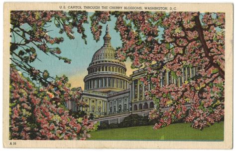 Washington DC postcard vintage linen District of Columbia