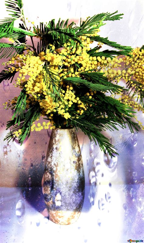 Download free picture spring bouquet mimosa flower on CC-BY License ...