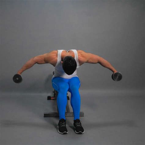 Dumbbell Seated Rear Lateral Raise – Fit Drills Website