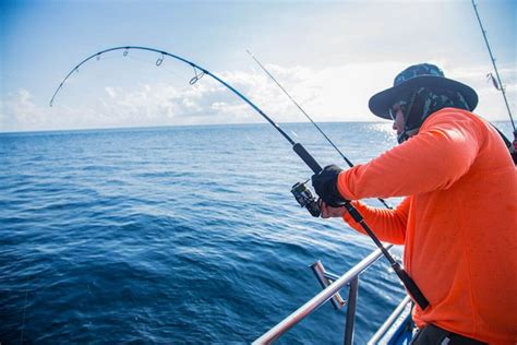 Best Travel Fishing Rods in 2020 – Enjoy Both Performance and ...