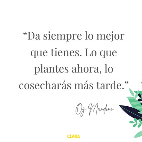 Top 45+ imagen motivacionales frases motivadoras para el trabajo - Abzlocal.mx