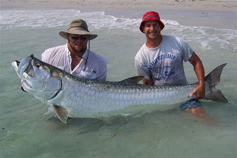 SPRING FISHING IS EXPLOSIVE AND HAS COMMENCED!!!!! - Absolute Florida ...