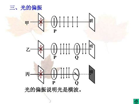 高三物理光的干涉、衍射和偏振_word文档在线阅读与下载_免费文档