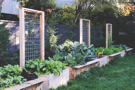 Cedar Raised Beds with Permanent Trellising — Seattle Urban Farm Company