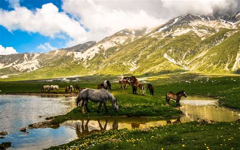 3. Parco Nazionale del Gran Sasso e Monti della Laga - Molise Tour & Omega Travel