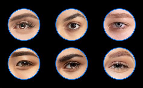 How to Determine Your Eye Shape and Why It Matters | T Singapore Blog