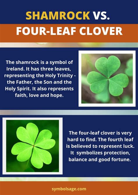 What is a Shamrock and What Does It Symbolize? - Symbol Sage