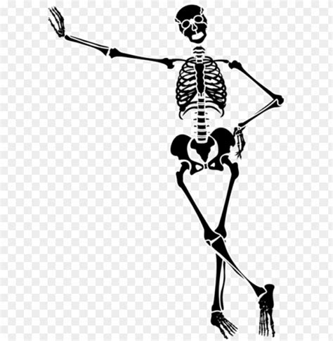 dancing skeleton png 20 free Cliparts | Download images on Clipground 2024