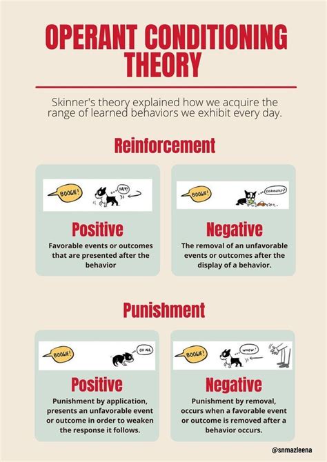 Skinner s operant conditioning theory – Artofit