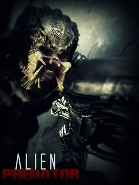 Alien vs Predator by tomzj1 on DeviantArt