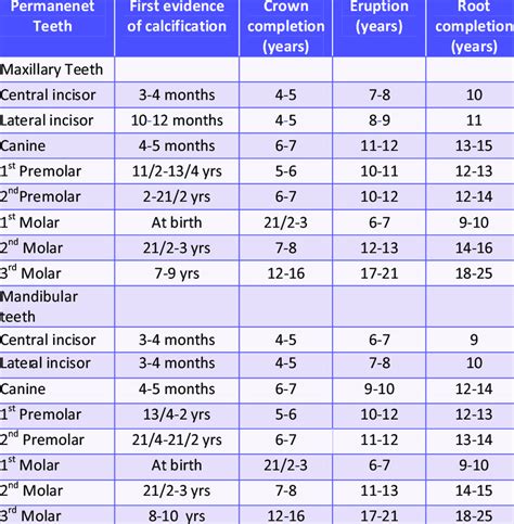 The chronology of permanent teeth | Download Scientific Diagram