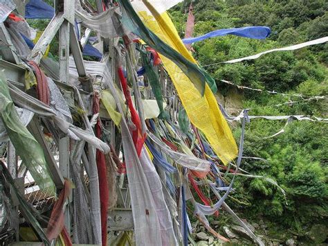 Bumdeling Wildlife Sanctuary, Bhutan - Trodly