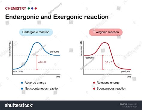 Endergonic Reaction: Definition, Examples, And Graph, 60% OFF