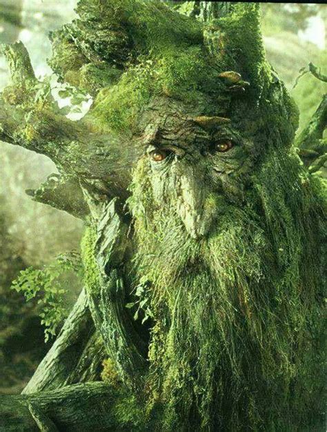 Pin on Fantasy | The hobbit, Lord of the rings, Treebeard