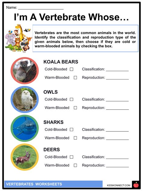 Vertebrates Worksheets & Facts | Classification, Evolution