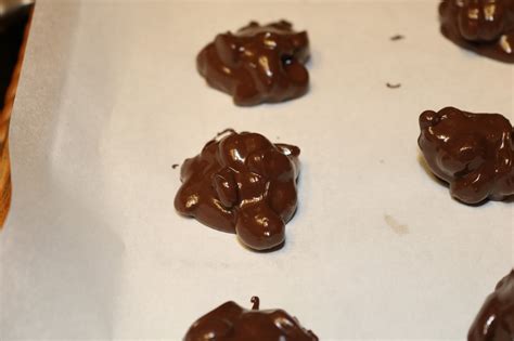 Michelle's Tasty Creations: Dark Chocolate Peanut Clusters