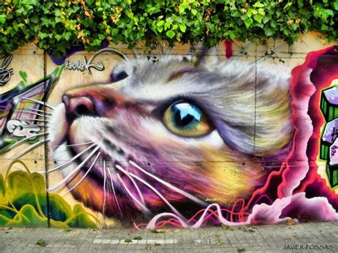 Graffiti Cat 01 | Arte urbano, Arte urbano graffiti, Arte