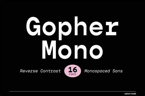 34 Cool Bold Monospace Fonts (Evenly Spaced Fonts)