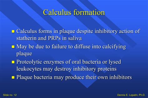 PPT - Composition and function of saliva PowerPoint Presentation - ID:286747