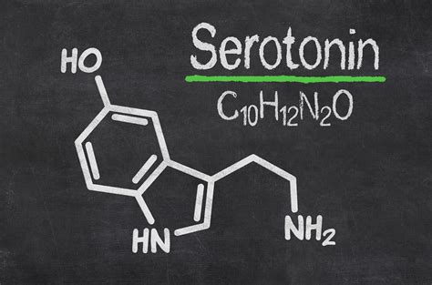 Serotonin: The Happy Hormone Produced In Our Gut – Bio-K+