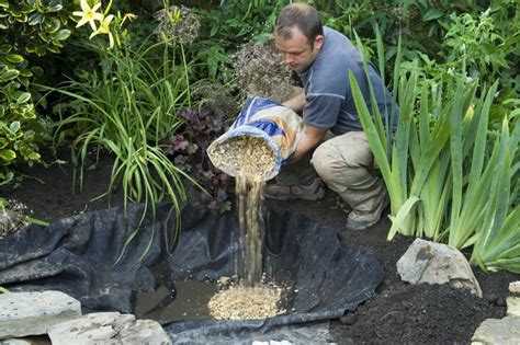 Create bog garden Garden Water Feature, Water Features In The Garden ...