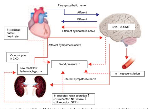 Figure 5 from New treatment for old disease: management of resistant ...