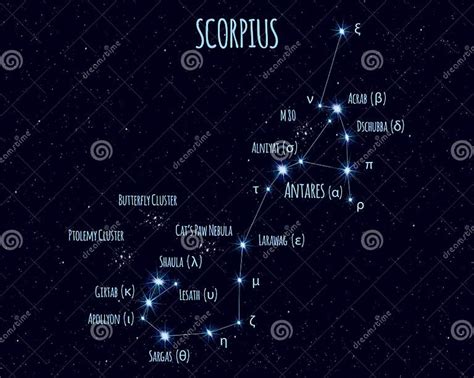 Scorpius Constellation, Vector Illustration with the Names of Basic Stars Stock Vector ...