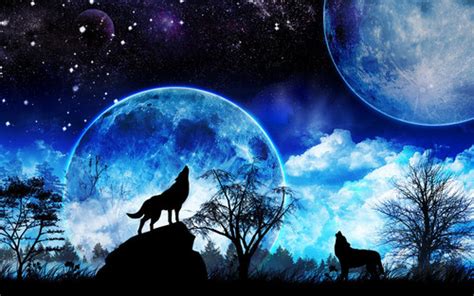 Wolves images wolves HD wallpaper and background photos (38872366)