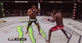 MMA GIF - MMA - Discover & Share GIFs