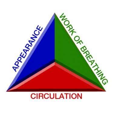 7.01b PEDIATRIC ASSESSMENT | Jacob Medical Advisors