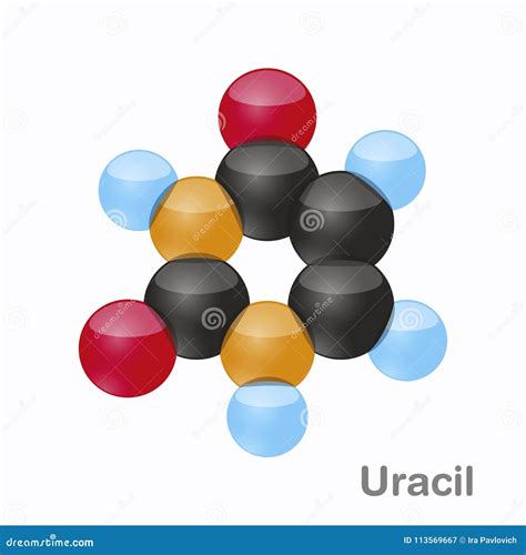 Uracil, U. Pyrimidine Nucleobase Molecule. Present in DNA. 3D Vector Illustration on White ...