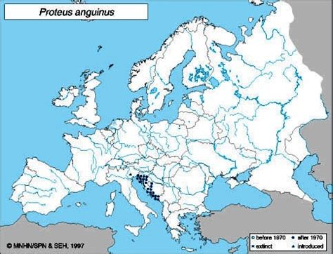 Distribution of the Olm or Blind cave salamander-Proteus anguinus... | Download Scientific Diagram