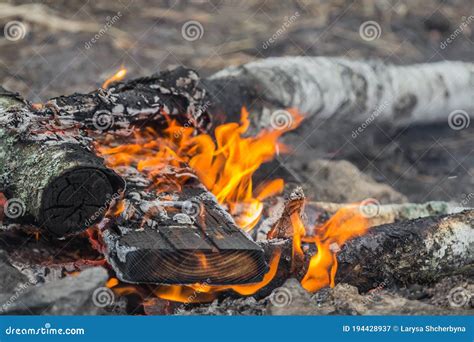 Burning Logs in a Fire Close-up Stock Image - Image of bright, light: 194428937