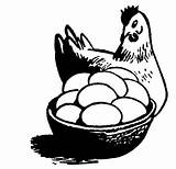Chicken Looking At Basket Full Of Egg Coloring Pages  NetArt sketch template