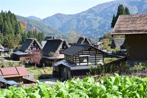 Gokayama, Alpes japonaises | Japon