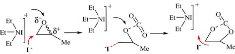 The possible reaction mechanisms in the presence of... | Download ...