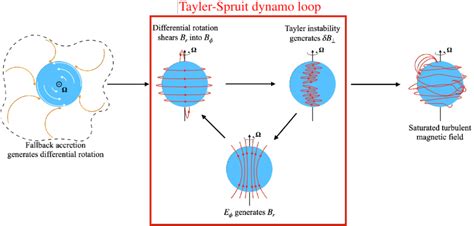 Schematic representation of the different stages of our magnetar... | Download Scientific Diagram