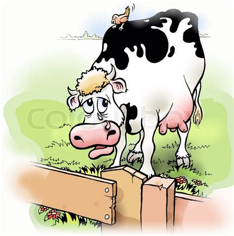 Sad cow behind fence with bird ... | Stock image | Colourbox