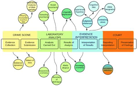 Uncertainty types mapped on forensic science process developed by... | Download Scientific Diagram