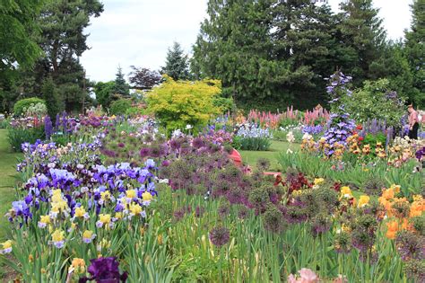 Schreiner's Iris Gardens in bloom 5/27 - Oregon Hikers