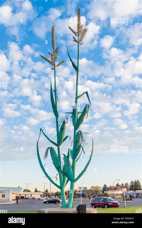 Giant corn sculpture Taber, Alberta, Canada Stock Photo - Alamy