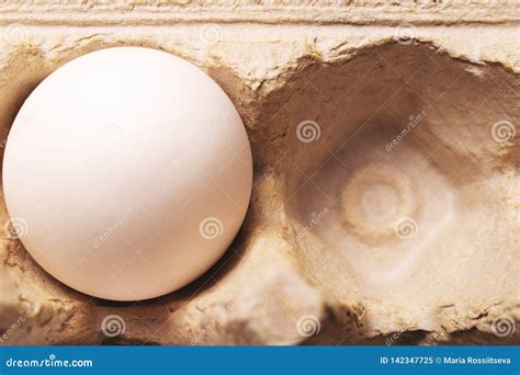 White egg in carton box. stock image. Image of celebration - 142347725